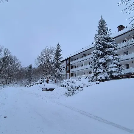 Lauschiges Plaetzchen - * Sankt Andreasberg