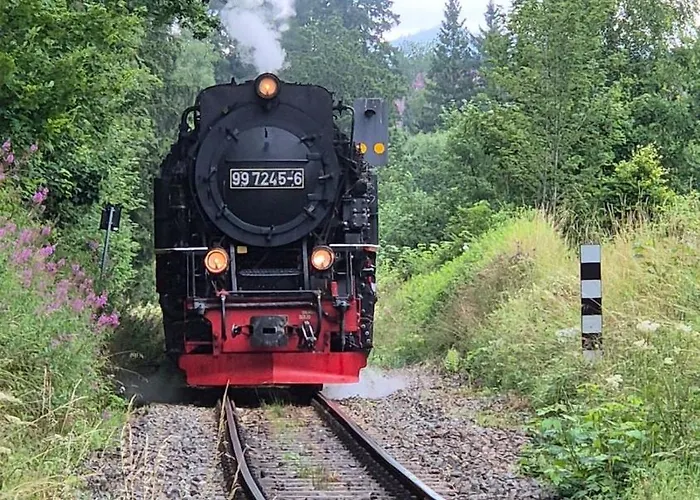 Lauschiges Plaetzchen - Apartment Sankt Andreasberg