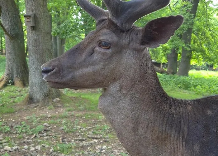 Apartment Lauschiges Plaetzchen - *