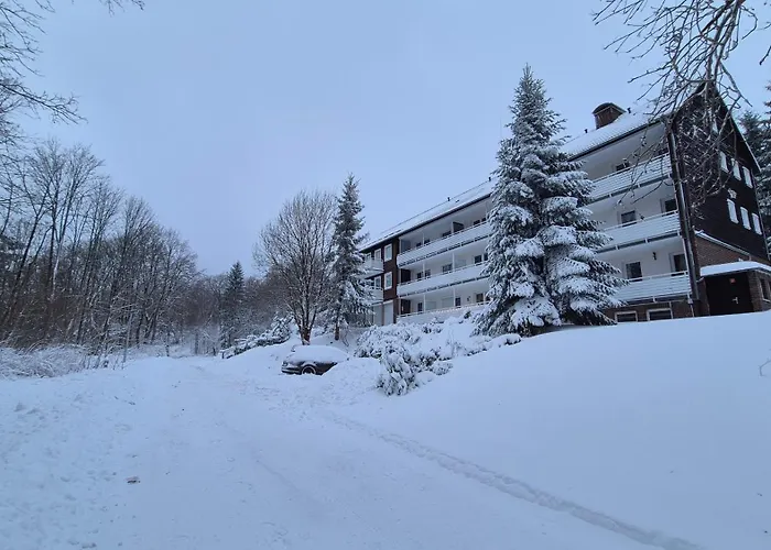 Lauschiges Plaetzchen - * Sankt Andreasberg